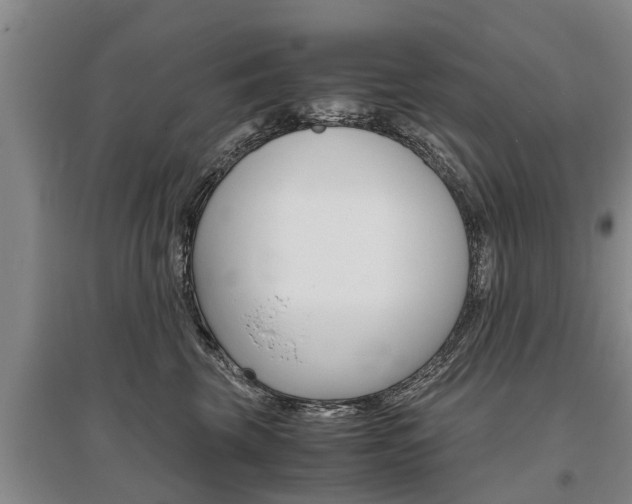 X0000095890569200801110831