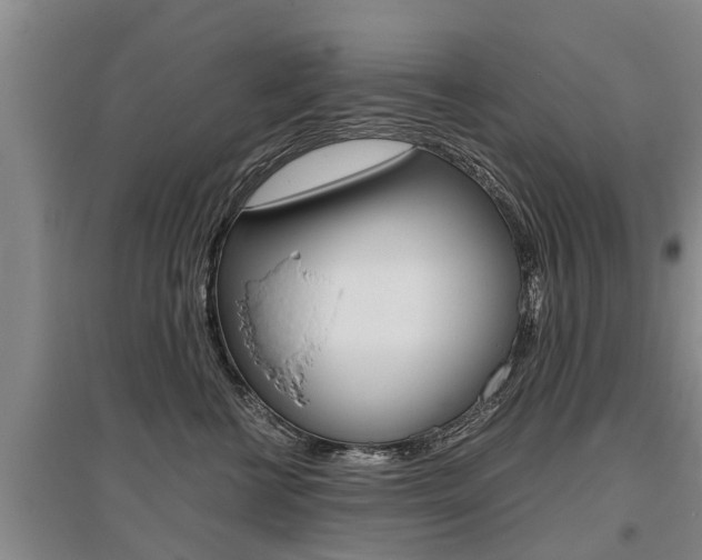 X0000095890570200801110831