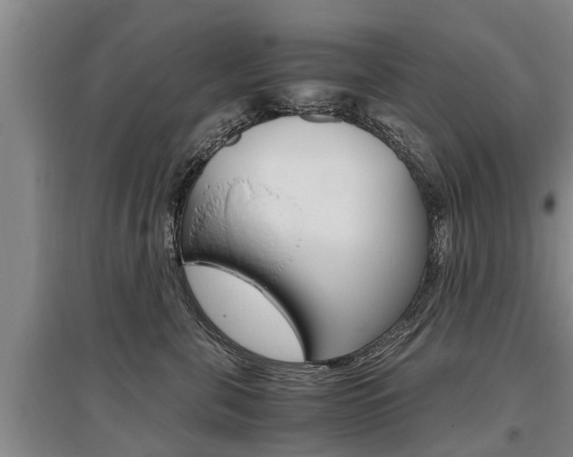 X0000095890571200801110831