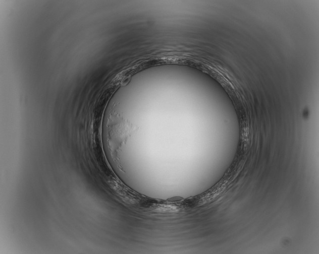 X0000095890572200801110831