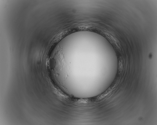 X0000095890574200801110831