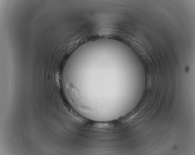 X0000095890575200801110831