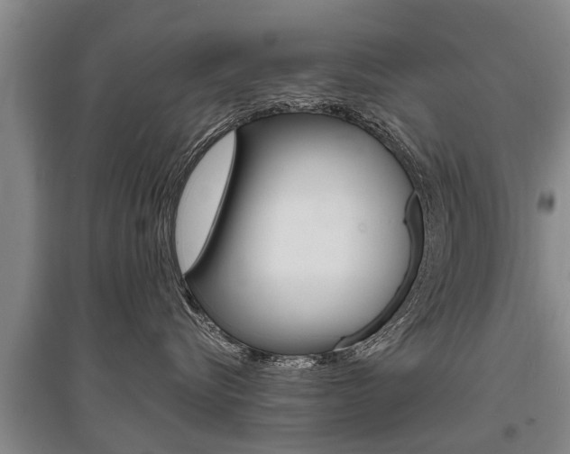 X0000095890576200801110831