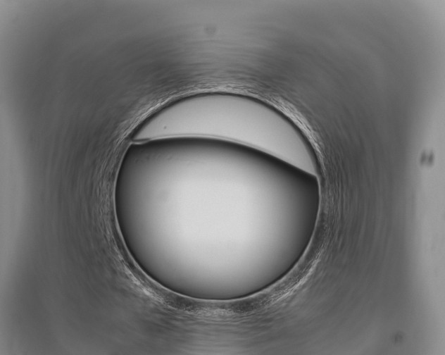 X0000095890577200801110831