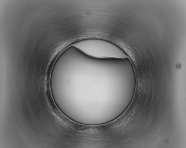 X0000095890578200801110831
