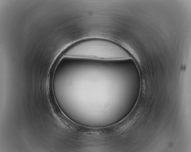 X0000095890580200801110831
