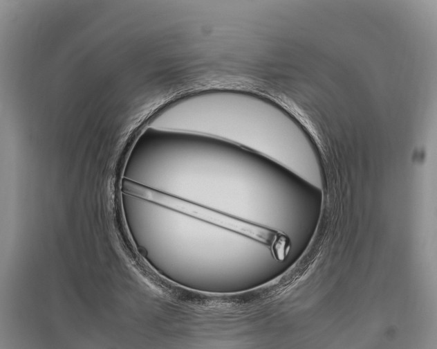 X0000095890581200801110830