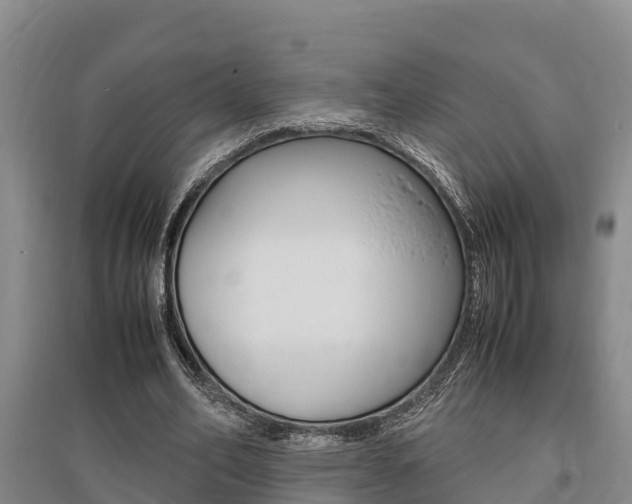 X0000095890582200801110830