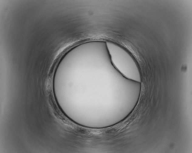 X0000095890583200801110830