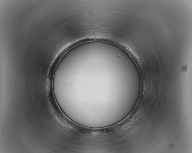 X0000095890584200801110830