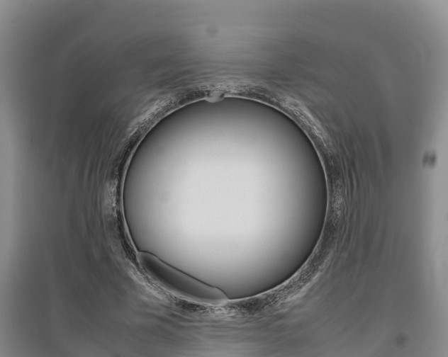 X0000095890585200801110830