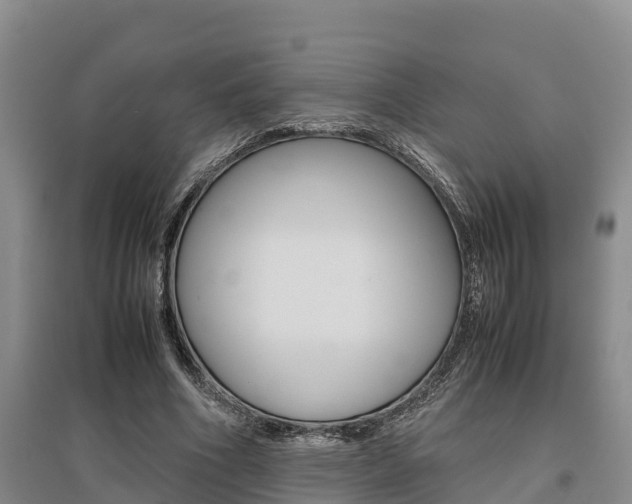 X0000095890586200801110830