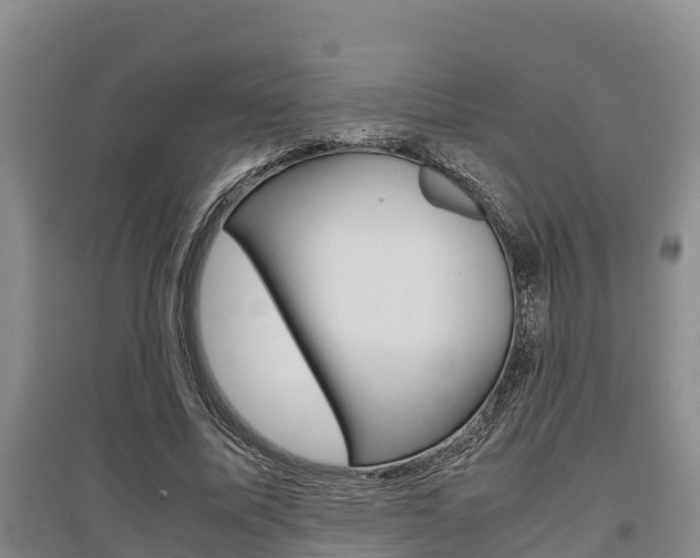 X0000095890587200801110830