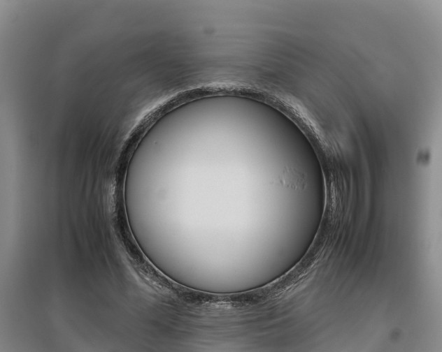 X0000095890588200801110830