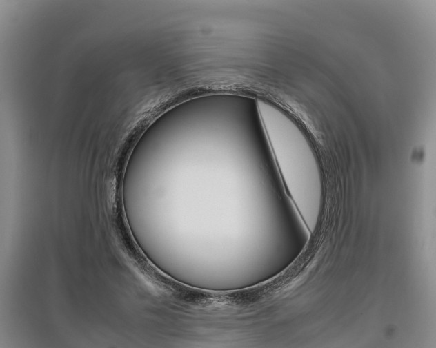 X0000095890589200801110830
