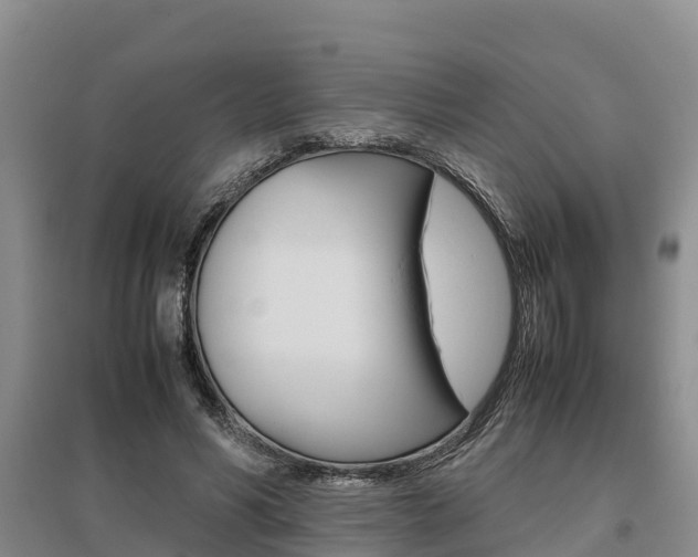 X0000095890590200801110830