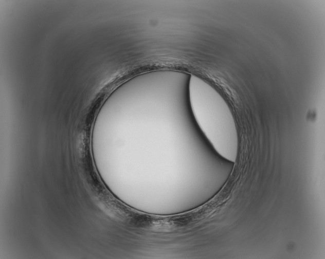 X0000095890591200801110830