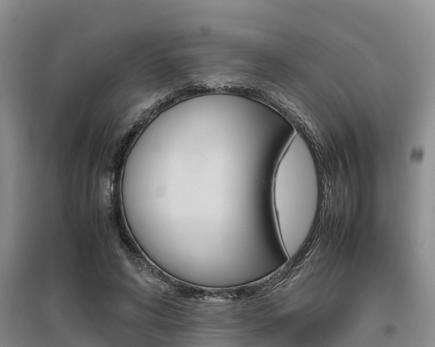 X0000095890592200801110830
