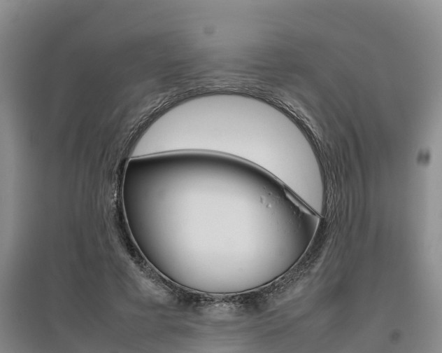 X0000095890593200801110830