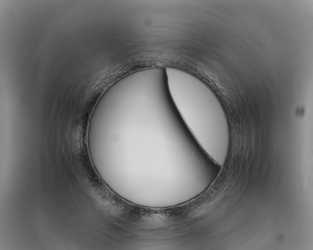 X0000095890594200801110830