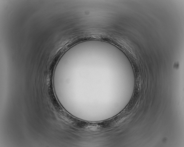 X0000095890595200801110830