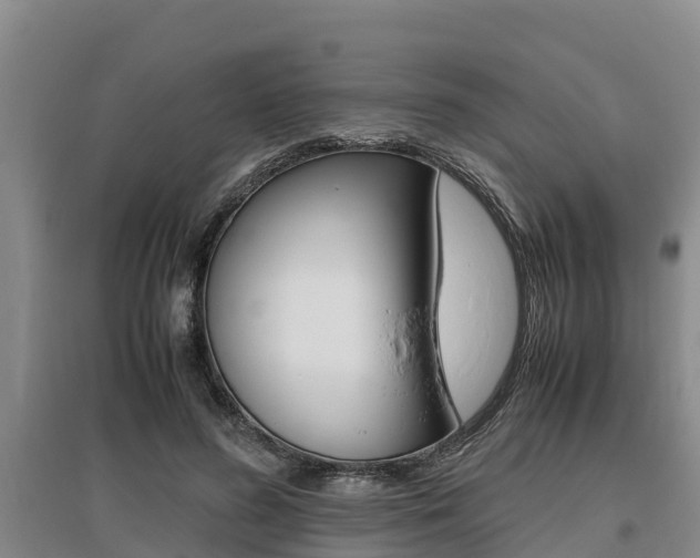 X0000095890596200801110830