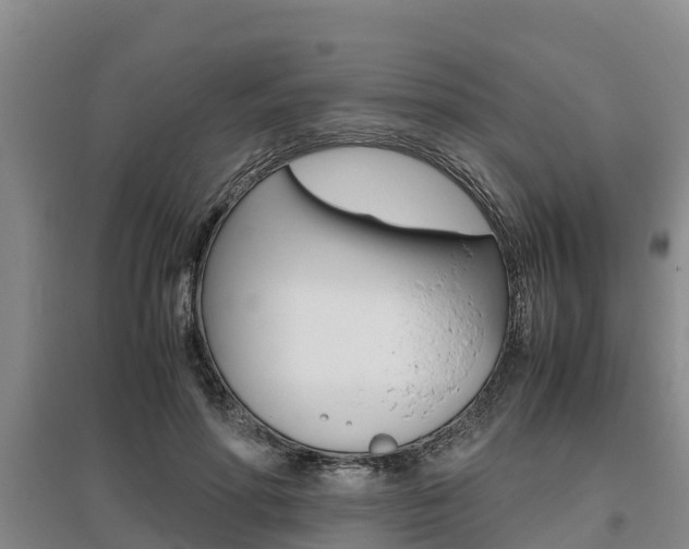 X0000095890598200801110830
