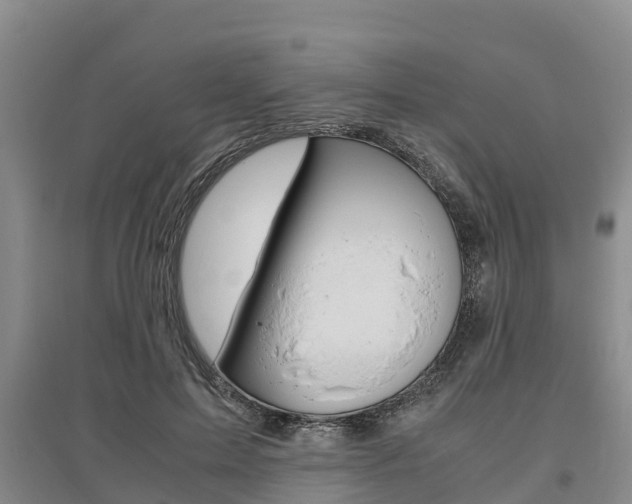 X0000095890599200801110830