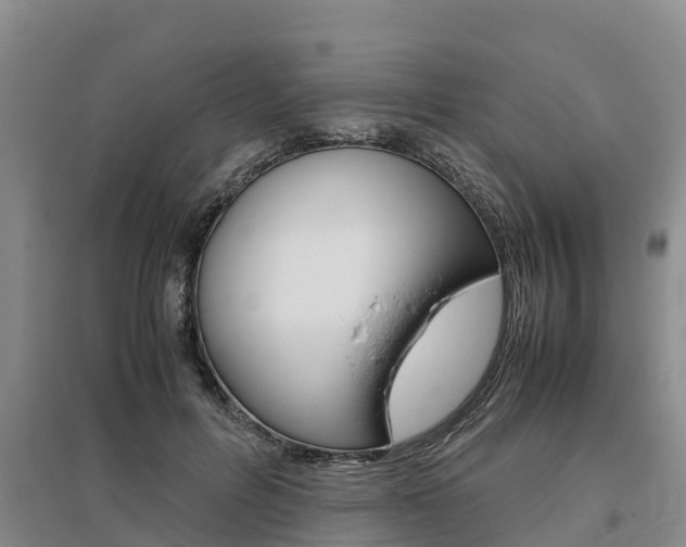 X0000095890600200801110830