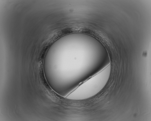 X0000095890601200801110830
