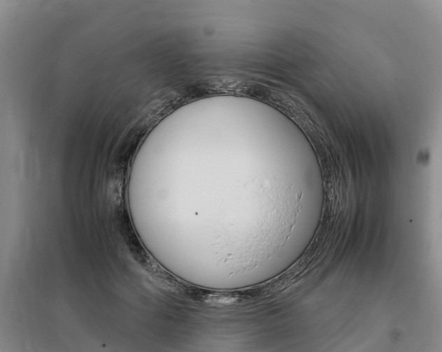 X0000095890602200801110830