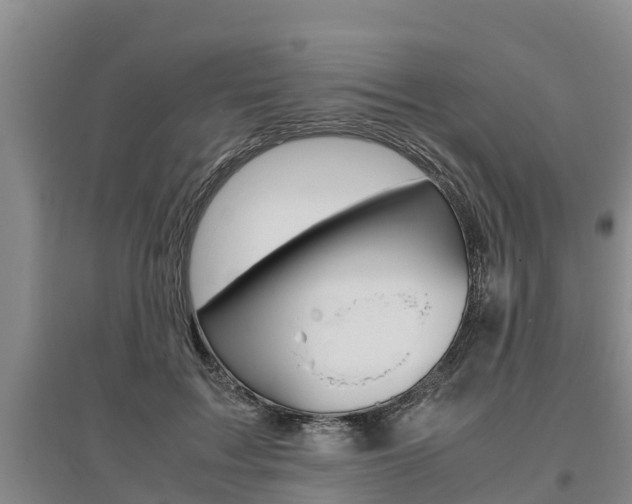 X0000095890603200801110830