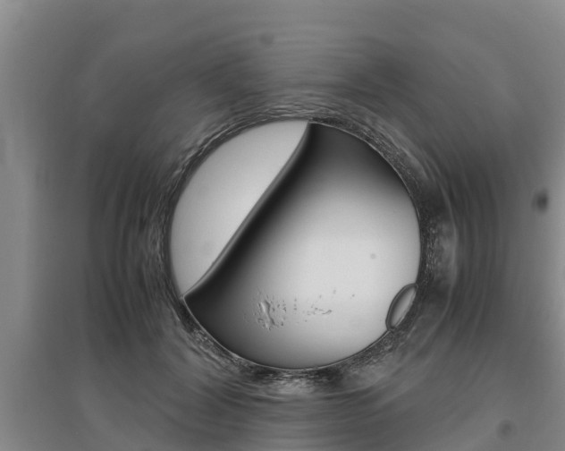 X0000095890604200801110830
