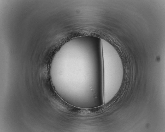X0000095890605200801110830
