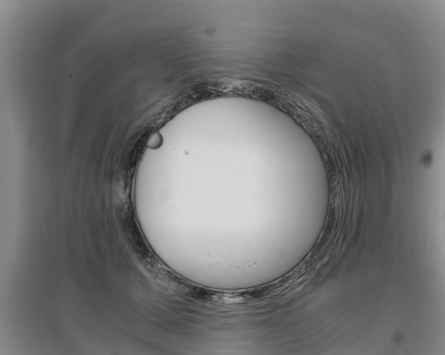 X0000095890607200801110830