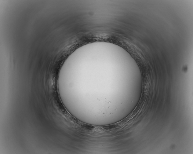 X0000095890608200801110830