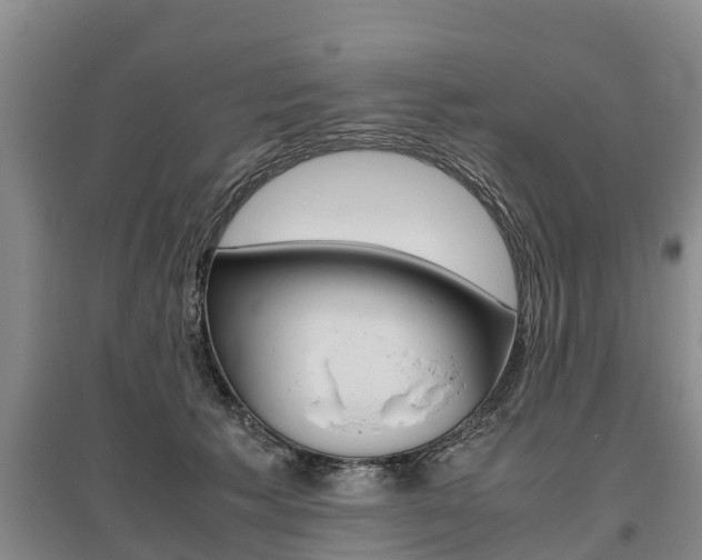 X0000095890609200801110830