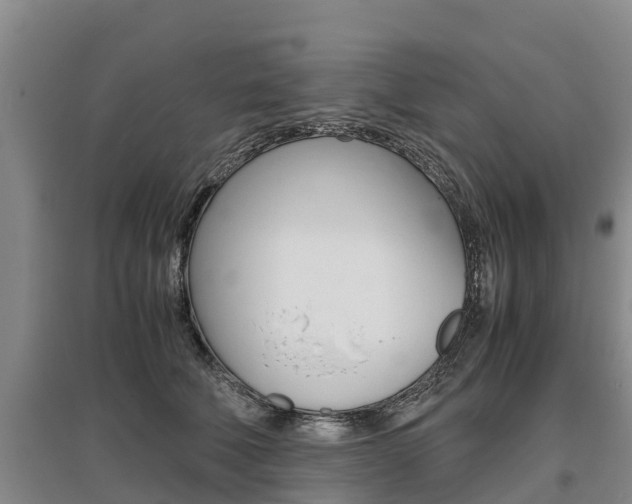 X0000095890610200801110830