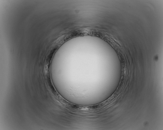 X0000095890611200801110830