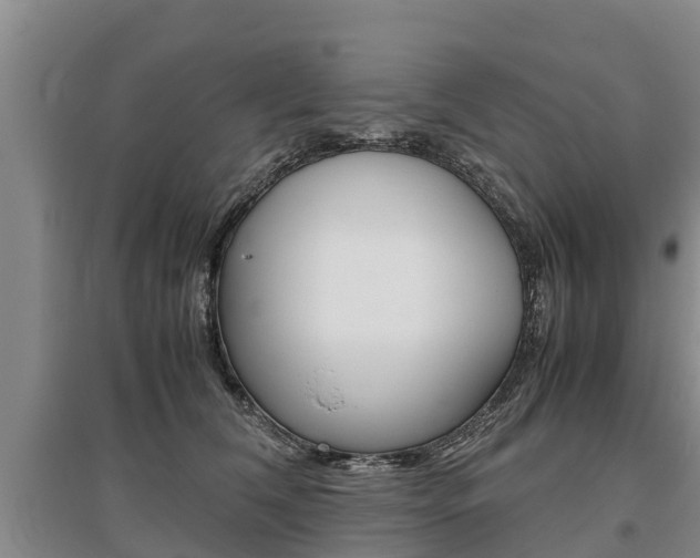 X0000095890612200801110830