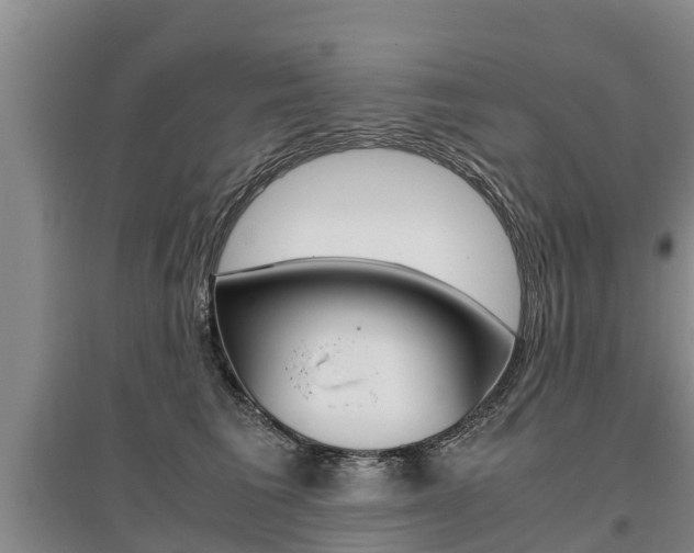 X0000095890613200801110830
