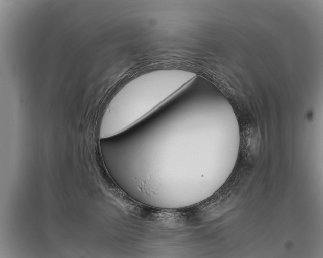 X0000095890615200801110830