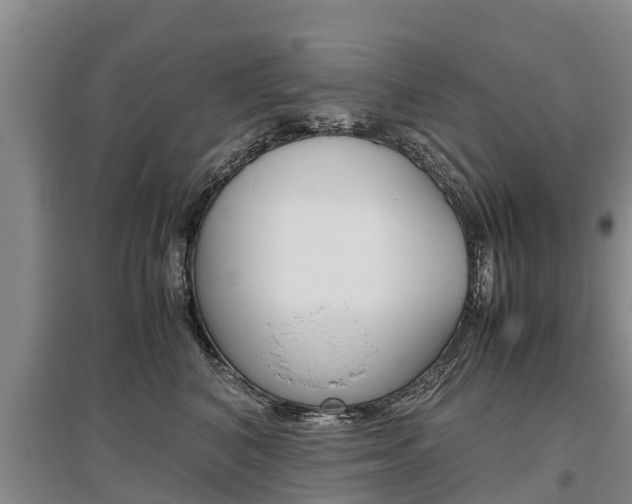 X0000095890616200801110830