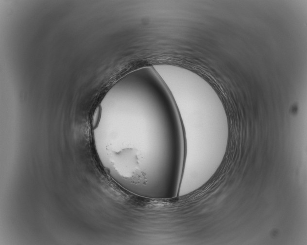 X0000095890617200801110830
