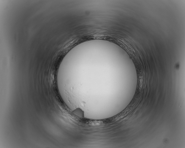 X0000095890618200801110830