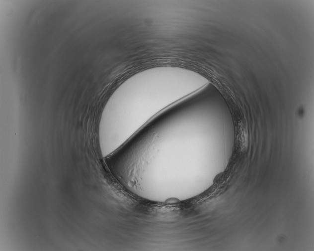 X0000095890619200801110830