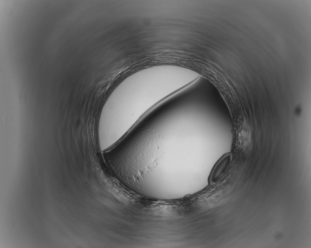 X0000095890620200801110830