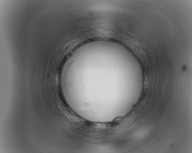 X0000095890623200801110830