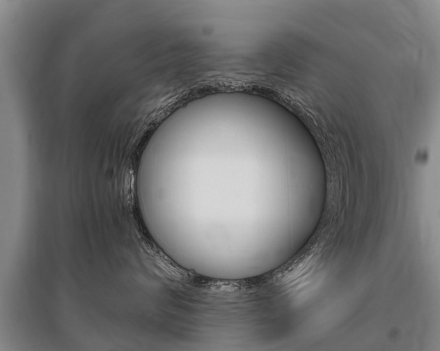 X0000095890624200801110830
