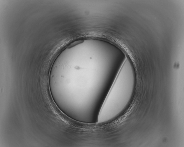 X0000095890625200801110829